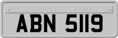 ABN5119