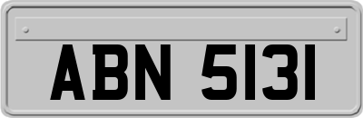ABN5131