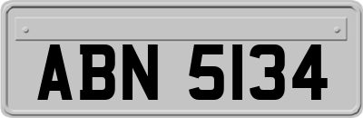 ABN5134
