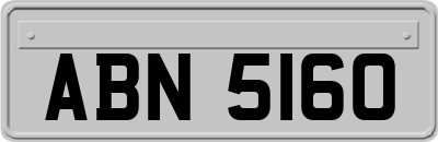 ABN5160