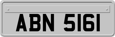 ABN5161