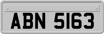 ABN5163