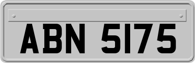 ABN5175