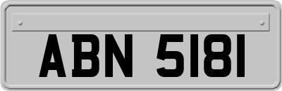 ABN5181