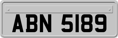 ABN5189