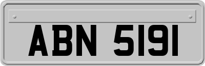ABN5191