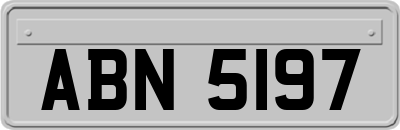 ABN5197