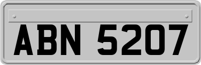 ABN5207