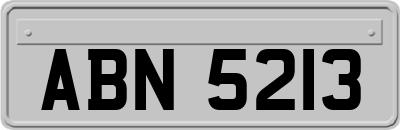 ABN5213