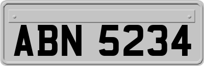 ABN5234