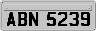 ABN5239