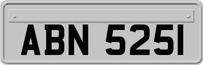 ABN5251
