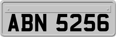 ABN5256