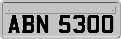 ABN5300