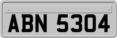 ABN5304
