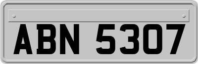 ABN5307