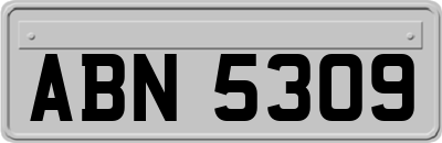 ABN5309