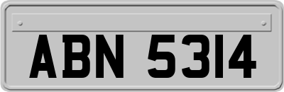 ABN5314