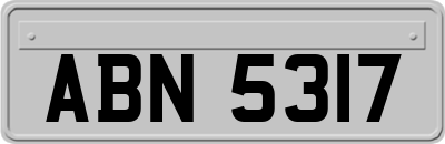ABN5317
