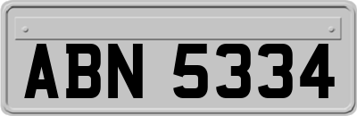 ABN5334
