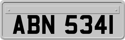 ABN5341