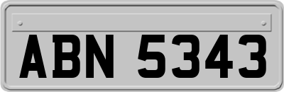 ABN5343