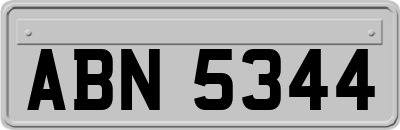 ABN5344