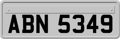 ABN5349