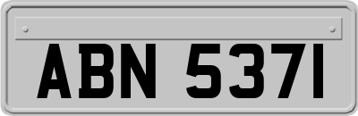 ABN5371