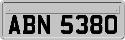 ABN5380