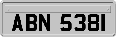 ABN5381
