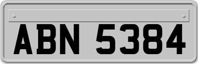 ABN5384