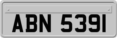 ABN5391