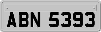 ABN5393