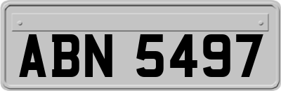 ABN5497