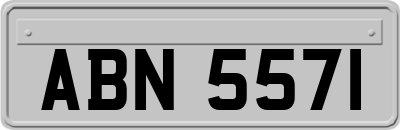 ABN5571