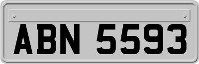 ABN5593