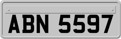 ABN5597