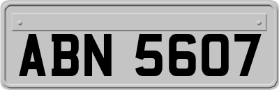 ABN5607