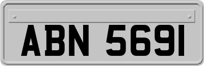 ABN5691