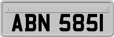 ABN5851