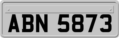 ABN5873