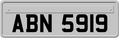 ABN5919