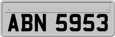 ABN5953