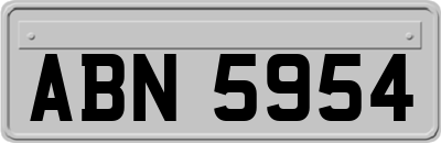 ABN5954
