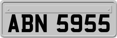 ABN5955