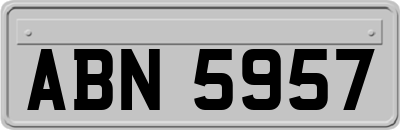 ABN5957