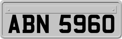ABN5960