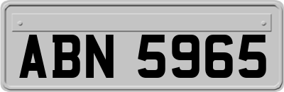 ABN5965