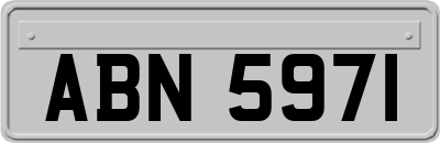 ABN5971